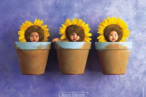 Sun Flower Babies5603511054 300x200 - Sun Flower Babies - flower, bathing, Babies